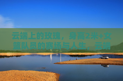 云端上的玫瑰，身高2米+女篮队员的赛场与人生，云端玫瑰，2米+女篮队员的赛场人生