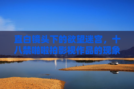 直白镜头下的欲望迷宫，十八禁啪啦拍影视作品的现象解构与价值反思，直白镜头下的欲望迷宫，十八禁影视作品的现象解构与价值反思