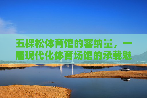 五棵松体育馆的容纳量,一座现代化体育场馆的承载魅力,五棵松体育馆,容纳量彰显现代化体育场馆承载魅力 五棵松体育馆的容纳量,一座现代化体育场馆的承载魅力,五棵松体育馆,容纳量彰显现代化体育场馆承载魅力