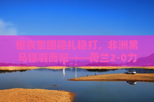 橙衣军团稳扎稳打，非洲黑马铩羽而归——荷兰2-0力克塞内加尔，橙衣军团稳扎稳打2-0力克非洲黑马塞内加尔
