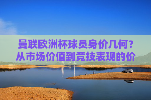 曼联欧洲杯球员身价几何？从市场价值到竞技表现的价格解析，曼联欧洲杯球员身价解析，市场价值与竞技表现的双重维度
