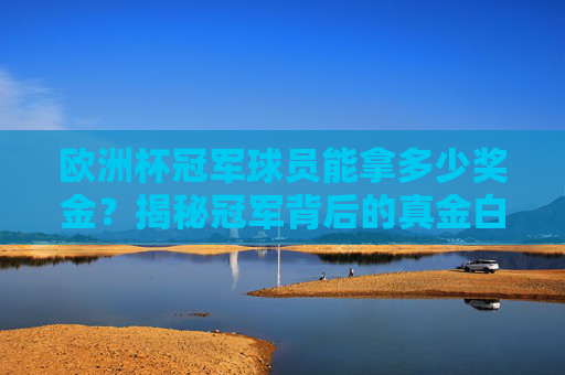 欧洲杯冠军球员能拿多少奖金?揭秘冠军背后的真金白银,欧洲杯冠军球员奖金揭秘 欧洲杯冠军球员能拿多少奖金?揭秘冠军背后的真金白银,欧洲杯冠军球员奖金揭秘