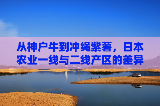 从神户牛到冲绳紫薯,日本农业一线与二线产区的差异化密码,神户牛与冲绳紫薯,日本农业一线二线产区的差异化密码 从神户牛到冲绳紫薯,日本农业一线与二线产区的差异化密码,神户牛与冲绳紫薯,日本农业一线二线产区的差异化密码