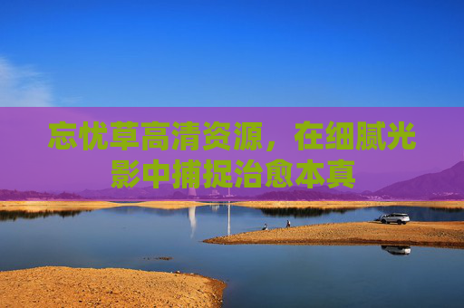 忘忧草高清资源，在细腻光影中捕捉治愈本真
