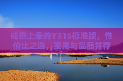 成色上乘的Y31S标准版,性价比之选,实用与品质并存,Y31S标准版,成色上乘的性价比之选,实用品质并存 成色上乘的Y31S标准版,性价比之选,实用与品质并存,Y31S标准版,成色上乘的性价比之选,实用品质并存