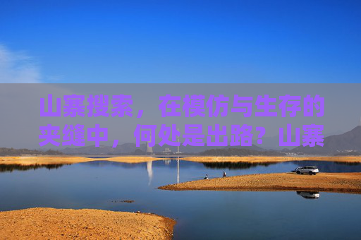 山寨搜索，在模仿与生存的夹缝中，何处是出路？山寨搜索，模仿与生存夹缝中的出路