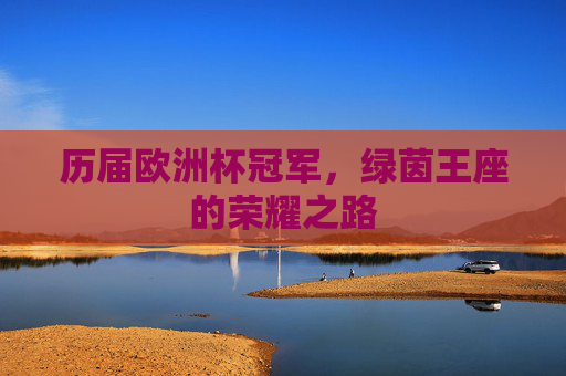 历届欧洲杯冠军，绿茵王座的荣耀之路