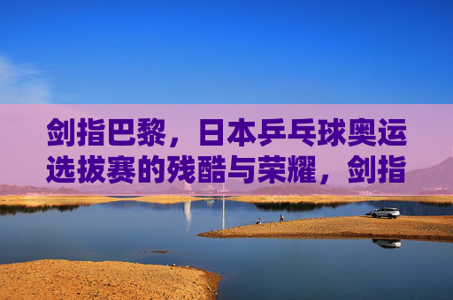 剑指巴黎,日本乒乓球奥运选拔赛的残酷与荣耀,剑指巴黎,日本乒乓球奥运选拔赛的残酷与荣耀 剑指巴黎,日本乒乓球奥运选拔赛的残酷与荣耀,剑指巴黎,日本乒乓球奥运选拔赛的残酷与荣耀