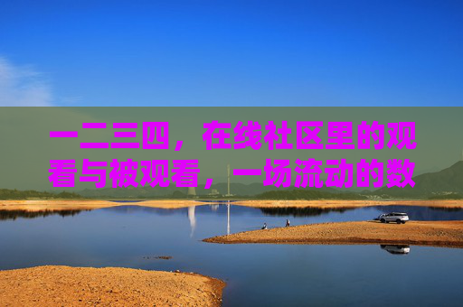 一二三四，在线社区里的观看与被观看，一场流动的数字共生，在线社区的数字共生，流动的凝视