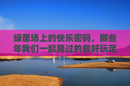 绿茵场上的快乐密码，那些年我们一起踢过的最好玩足球游戏，绿茵场上的快乐密码，一起踢过的最好玩足球游戏