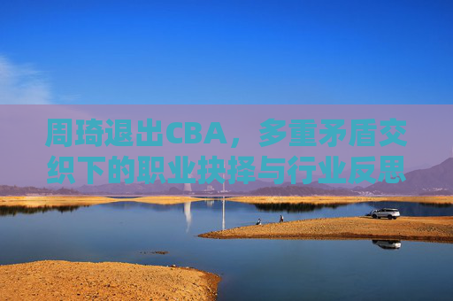 周琦退出CBA，多重矛盾交织下的职业抉择与行业反思，周琦退出CBA，多重矛盾交织下的职业抉择与行业反思