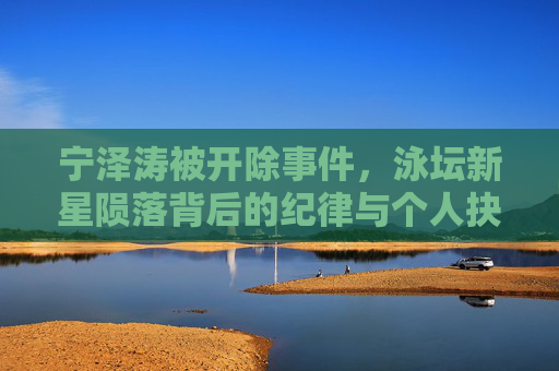 宁泽涛被开除事件，泳坛新星陨落背后的纪律与个人抉择，宁泽涛被开除，泳坛新星陨落背后的纪律与抉择
