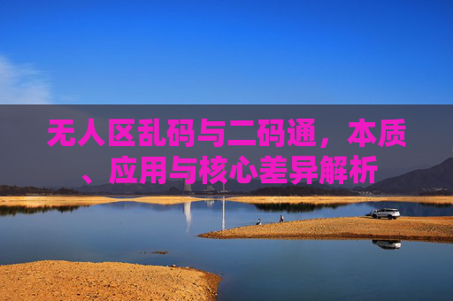 无人区乱码与二码通，本质、应用与核心差异解析