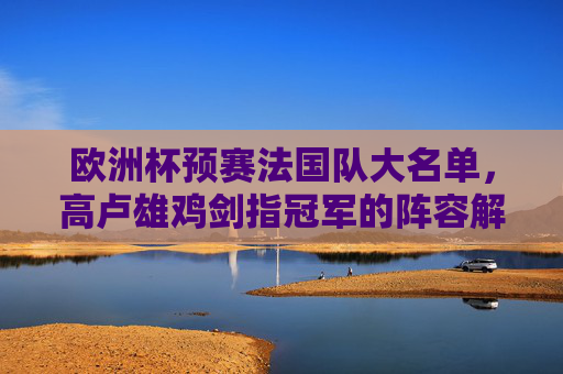 欧洲杯预赛法国队大名单，高卢雄鸡剑指冠军的阵容解析，法国欧洲杯预赛大名单解析，高卢雄鸡剑指冠军