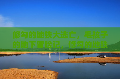 修勾的地铁大逃亡，毛孩子的地下冒险记，修勾的地铁大逃亡