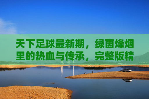天下足球最新期，绿茵烽烟里的热血与传承，完整版精彩回顾，天下足球，绿茵烽烟里的热血与传承