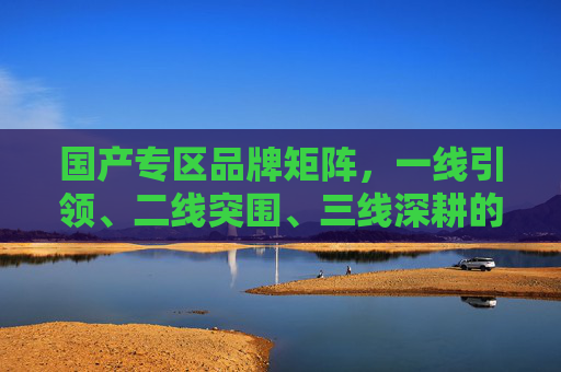 国产专区品牌矩阵，一线引领、二线突围、三线深耕的东方力量，国产品牌矩阵，一线引领、二线突围、三线深耕的东方力量
