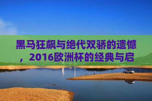 黑马狂飙与绝代双骄的遗憾，2016欧洲杯的经典与启示，黑马狂飙与绝代双骄之憾，2016欧洲杯的经典与启示