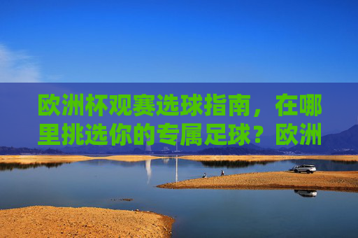 欧洲杯观赛选球指南，在哪里挑选你的专属足球？欧洲杯观赛专属足球选球指南