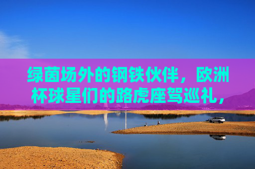 绿茵场外的钢铁伙伴，欧洲杯球星们的路虎座驾巡礼，绿茵场外的钢铁伙伴，欧洲杯球星路虎座驾巡礼