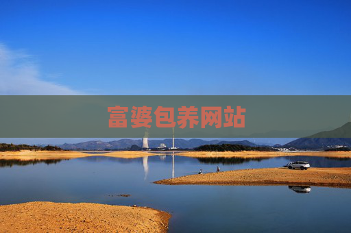 富婆包养网站
