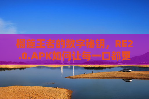 榴莲王者的数字秘钥，RE2.0.APK如何让每一口都更懂你？榴莲王者数字秘钥，RE2.0.APK让每一口更懂你