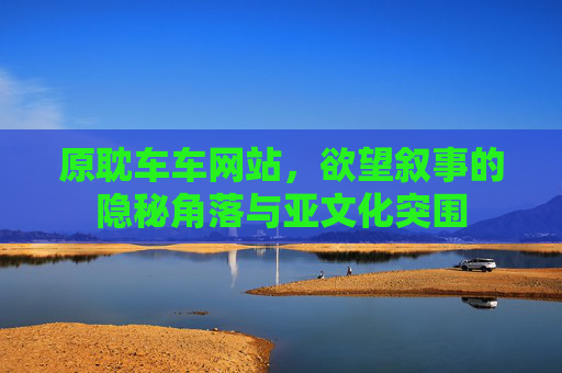 原耽车车网站，欲望叙事的隐秘角落与亚文化突围