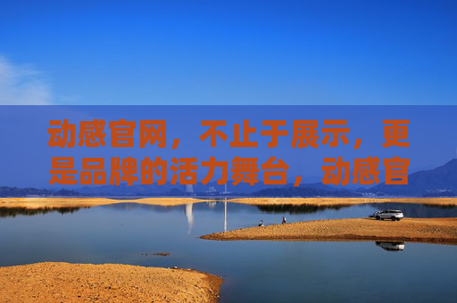 动感官网，不止于展示，更是品牌的活力舞台，动感官网，品牌的活力舞台
