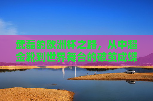 武磊的欧洲杯之路，从中超金靴到世界舞台的破茧成蝶，武磊，中超金靴的欧洲杯破茧成蝶
