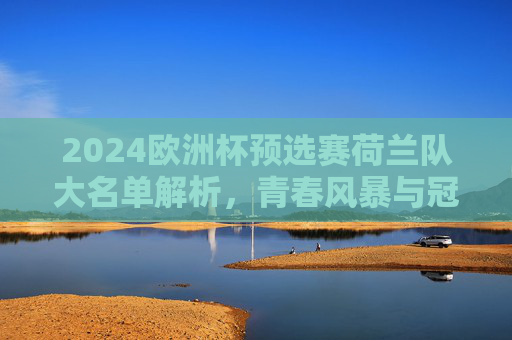 2024欧洲杯预选赛荷兰队大名单解析，青春风暴与冠军底蕴的融合，2024欧洲杯预选赛荷兰大名单解析，青春风暴与冠军底蕴的融合