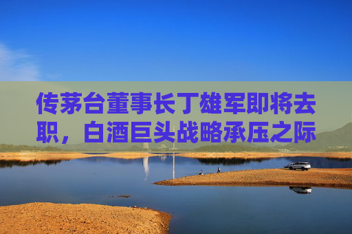 传茅台董事长丁雄军即将去职，白酒巨头战略承压之际迎变局，茅台董事长丁雄军即将去职 白酒巨头战略承压迎变局