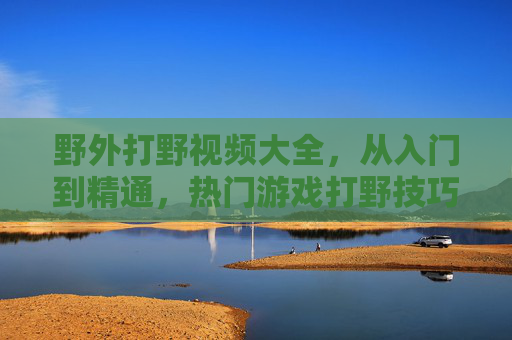 野外打野视频大全，从入门到精通，热门游戏打野技巧全收录，热门游戏打野技巧从入门到精通视频大全