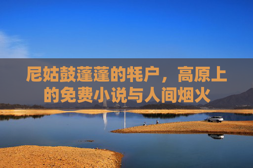 尼姑鼓蓬蓬的牦户，高原上的免费小说与人间烟火