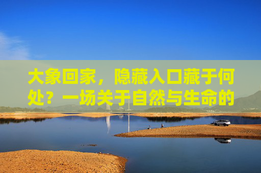 大象回家,隐藏入口藏于何处?一场关于自然与生命的秘密追寻,大象回家,隐藏入口里的自然生命秘密 大象回家,隐藏入口藏于何处?一场关于自然与生命的秘密追寻,大象回家,隐藏入口里的自然生命秘密