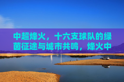 中超烽火,十六支球队的绿茵征途与城市共鸣,烽火中超,十六队绿茵征途与城市共鸣 中超烽火,十六支球队的绿茵征途与城市共鸣,烽火中超,十六队绿茵征途与城市共鸣