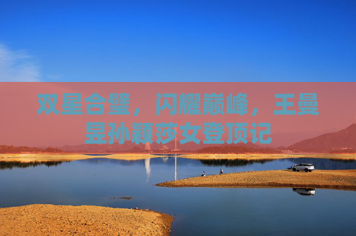 双星合璧,闪耀巅峰,王曼昱孙颖莎女登顶记 双星合璧,闪耀巅峰,王曼昱孙颖莎女登顶记