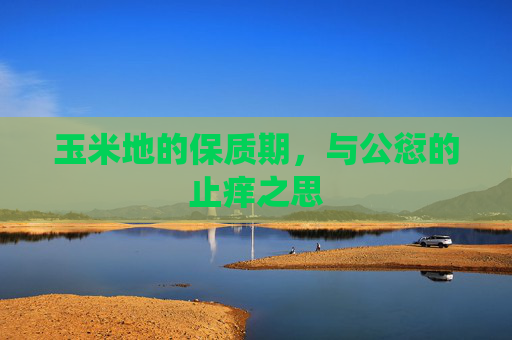 玉米地的保质期，与公愆的止痒之思
