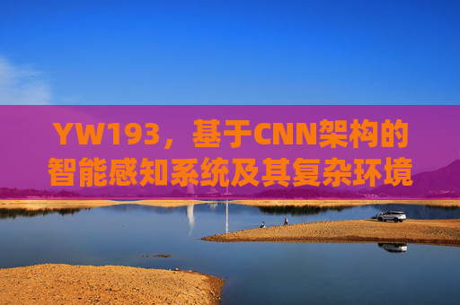 YW193，基于CNN架构的智能感知系统及其复杂环境应用探索