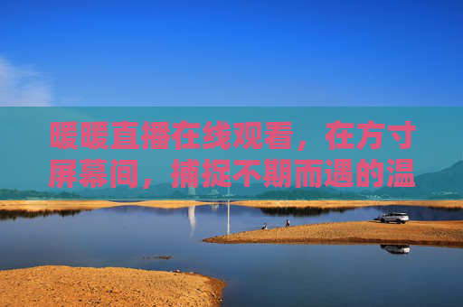 暖暖直播在线观看，在方寸屏幕间，捕捉不期而遇的温暖，方寸屏幕间，暖暖直播捕捉不期而遇的温暖