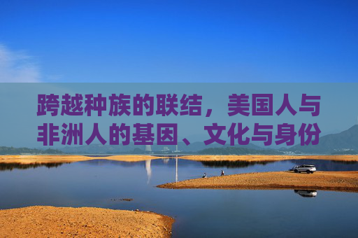 跨越种族的联结,美国人与非洲人的基因、文化与身份之思,跨越种族的联结,美国人与非洲人的基因、文化与身份思辨 跨越种族的联结,美国人与非洲人的基因、文化与身份之思,跨越种族的联结,美国人与非洲人的基因、文化与身份思辨