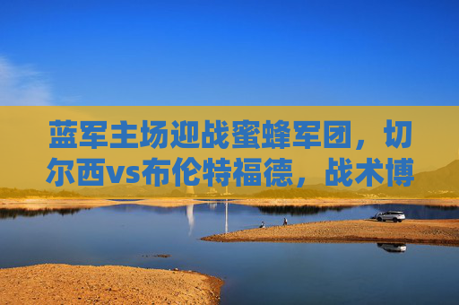 蓝军主场迎战蜜蜂军团，切尔西vs布伦特福德，战术博弈与积分争夺战，蓝军主场迎战蜜蜂军团，战术博弈与积分争夺战