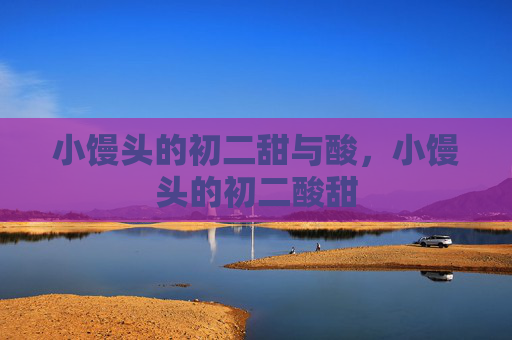 小馒头的初二甜与酸,小馒头的初二酸甜 小馒头的初二甜与酸,小馒头的初二酸甜