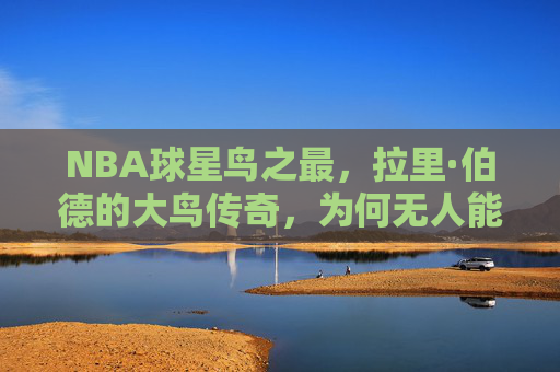 NBA球星鸟之最，拉里·伯德的大鸟传奇，为何无人能及？拉里·伯德，大鸟传奇，为何无人能及？