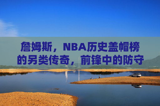 詹姆斯，NBA历史盖帽榜的另类传奇，前锋中的防守巨擘，詹姆斯，NBA历史盖帽榜前锋防守巨擘