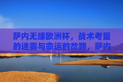 萨内无缘欧洲杯，战术考量的迷雾与命运的岔路，萨内无缘欧洲杯，战术迷雾与命运岔路
