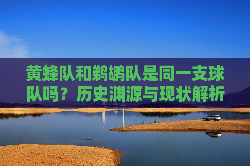 黄蜂队和鹈鹕队是同一支球队吗？历史渊源与现状解析，黄蜂队与鹈鹕队，历史渊源、现状及球队关系解析