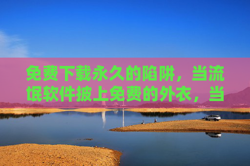 免费下载永久的陷阱，当流氓软件披上免费的外衣，当流氓软件披上免费外衣，免费下载的永久陷阱