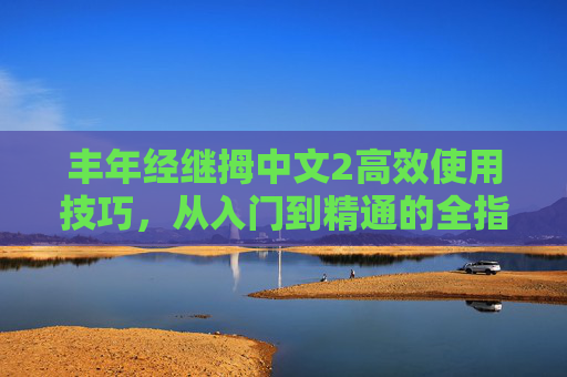 丰年经继拇中文2高效使用技巧，从入门到精通的全指南，丰年经继拇中文2高效使用技巧，从入门到精通全指南