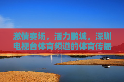 激情赛场，活力鹏城，深圳电视台体育频道的体育传播之路