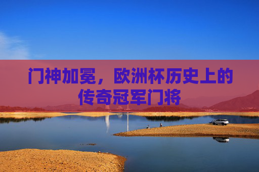 门神加冕，欧洲杯历史上的传奇冠军门将